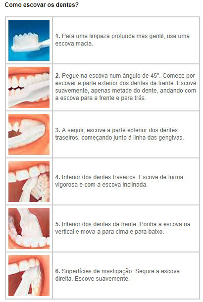 como escovar os dentes corretamente